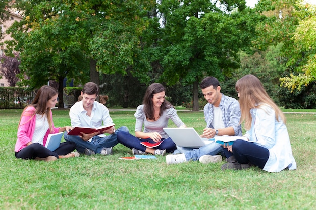 Gruppo di studenti che studiano all&#39;aperto