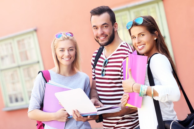 gruppo di studenti felici che studiano all'aperto