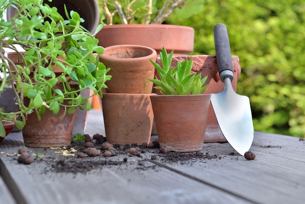 Gruppo di vasi da fiori in terracotta e piante succulente su un tavolo da giardino con pala