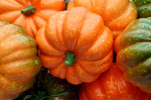 Gruppo di zucche arancioni e verdi