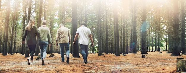 Gruppo escursionistico di persone e alberi forestali per il viaggio nella natura e l'avventura in lens flare Trekking amici di famiglia o comunità con fitness e ambiente naturale per il benessere nei boschi dell'Alaska