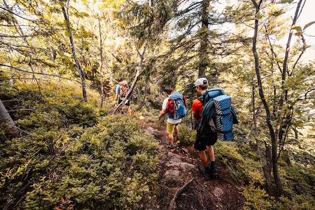 Gruppo escursionistico di viaggiatori con zaini Escursionismo in montagna Paesaggio soleggiato Viaggiatore turistico Parco nazionale Velka Fatra Slovacchia