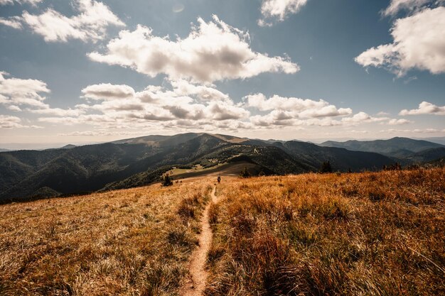 Gruppo escursionistico di viaggiatori con zaini Escursionismo in montagna Paesaggio soleggiato Viaggiatore turistico Parco nazionale Velka Fatra Slovacchia