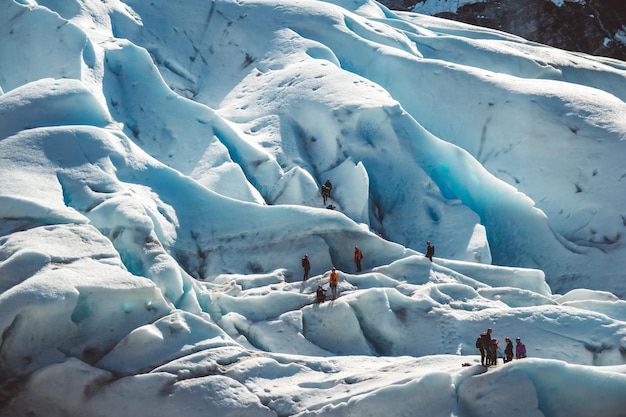 Gruppo privato di escursionisti che camminano sul ghiacciaio Gruppo di persone che fanno escursioni sulle montagne del ghiacciaio