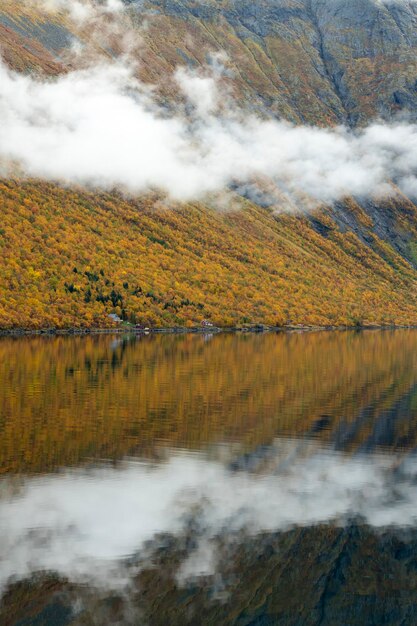 Gryllefjord alla stagione autunnale dell'isola di Senja in Norvegia