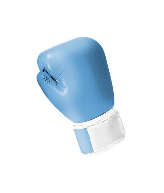 Guantoni da boxe blu