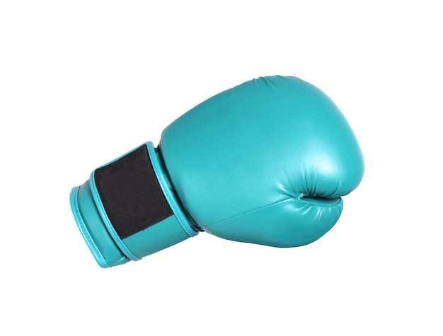 Guantoni da boxe