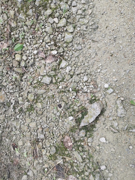 guardando la superficie del terreno della consistenza della strada di ghiaia rurale