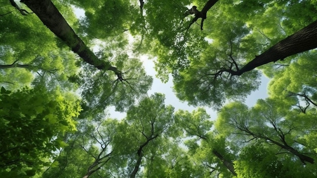 Guardando le cime verdi degli alberi IA generativa