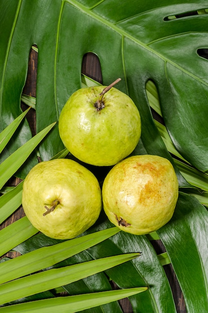 Guava sullo sfondo di foglie di palma verdi.