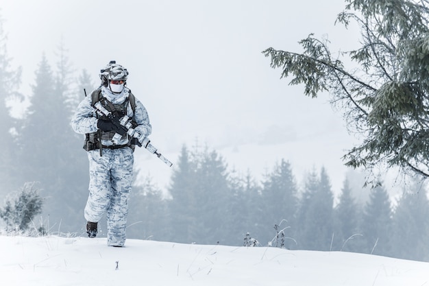 Guerra artica invernale