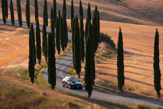 Guida in auto su strada tortuosa in Toscana Italia Famosa campagna e destinazione turistica