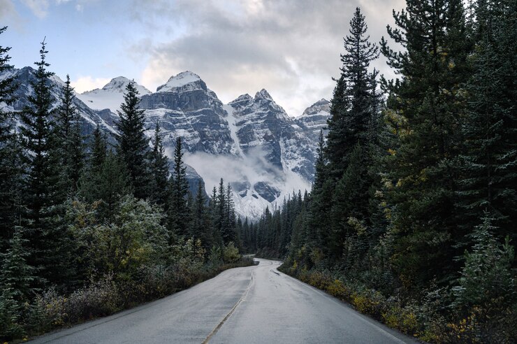 Foto guidando su strada in pineta con montagne rocciose