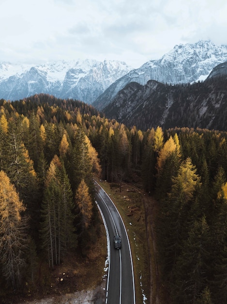 Guidando tra le riprese di drone della foresta autunnale