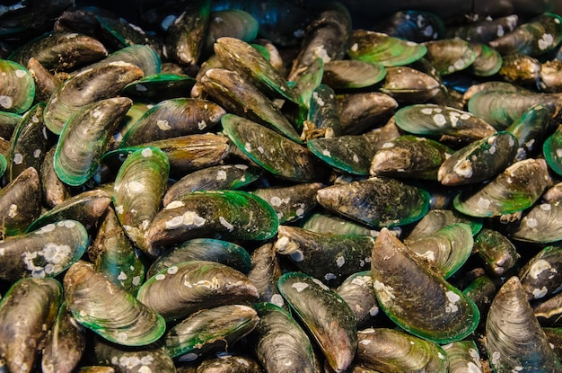 Guscio di cozze