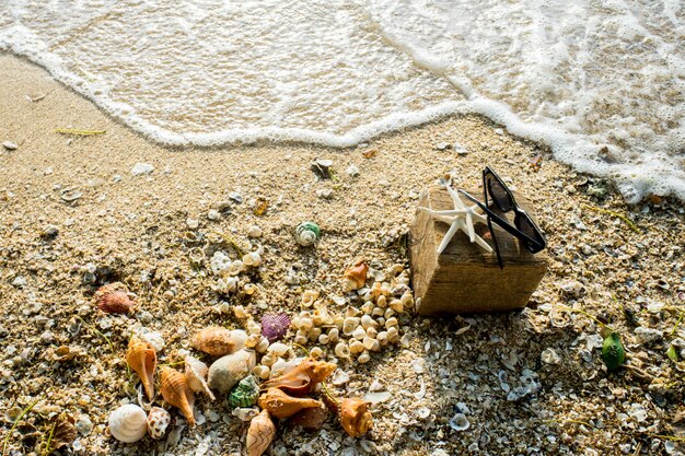 guscio di pesce sulla sabbia e acqua di mare vista a volo d&#39;uccello per la spiaggia e il vetro