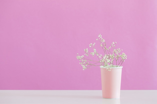 Gypsophila fiori in vaso su sfondo rosa