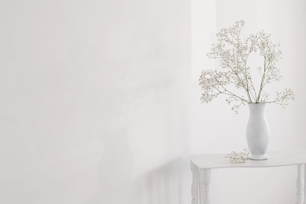 Gypsophila in vaso bianco sul vecchio ripiano in legno su sfondo bianco