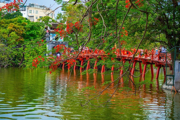 Ha Noi VIETNAM 08 MAGGIO 2023 Ponte Rosso Il ponte Huc nel lago Hoan Kiem il suo è un lago nel centro storico di Hanoi, la capitale del Vietnam La bellezza Phoenixflower sul lago Hoan Kiem