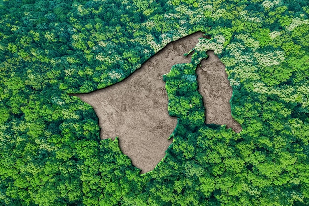 Habitat sostenibile Mappa del Brunei Darussalam, concetto di ambiente