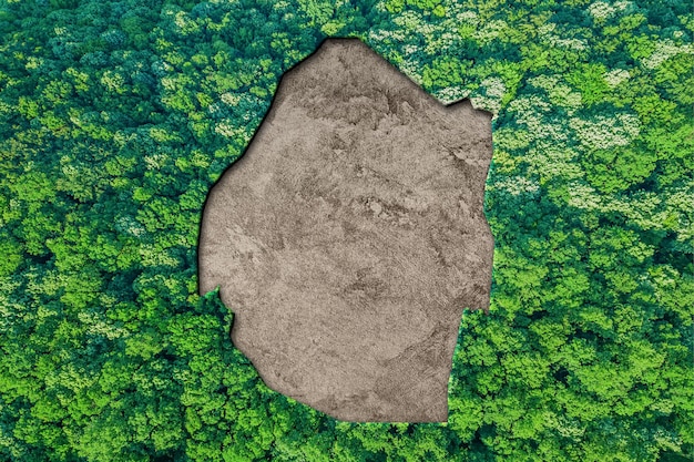 Habitat sostenibile Mappa dello Swaziland, concetto di ambiente