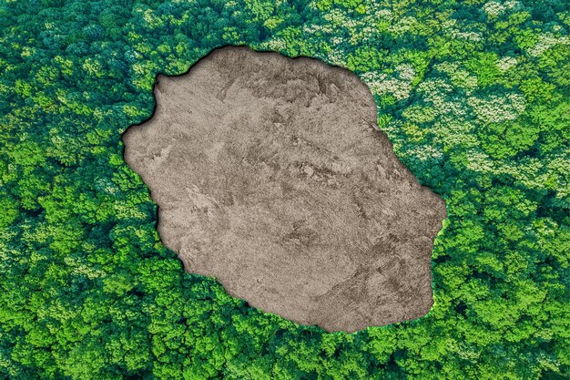 Habitat sostenibile Mappa di Reunion, concetto di ambiente