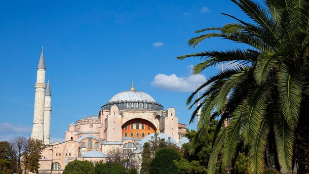 Hagia Sophia Grand Mosque con giardini pieni di vegetazione lussureggiante di fronte ad essa ad Istanbul in Turchia