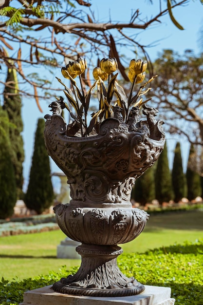 HAIFA ISRAELE Un bellissimo giardino baha'i con piante fiorite e sculture Vaso con tulipani dorati