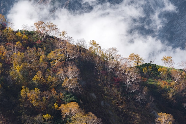 Hakuba Valley Autumn Nagano Japan