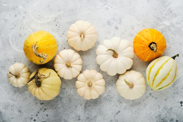 Halloween sfondo festivo autunnale Decorazioni autunnali da zucche bacche foglie d'acero e castagne su vecchi sfondi di piastrelle di pietra rustiche Concetto di giorno del Ringraziamento Halloween Vista dall'alto spazio copia