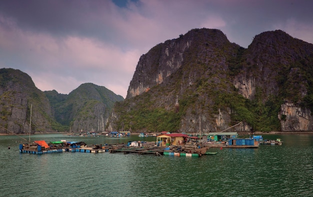 Halong Bay VietnamPrese a gennaio