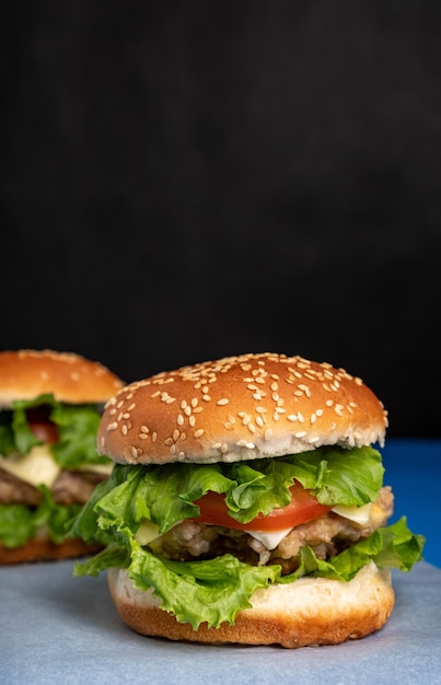 Hamburger con cotoletta di pollo, formaggio, pomodori ed erbe aromatiche.