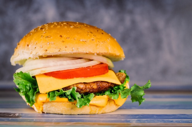 Hamburger con doppia carne, pomodoro, formaggio, cipolla.