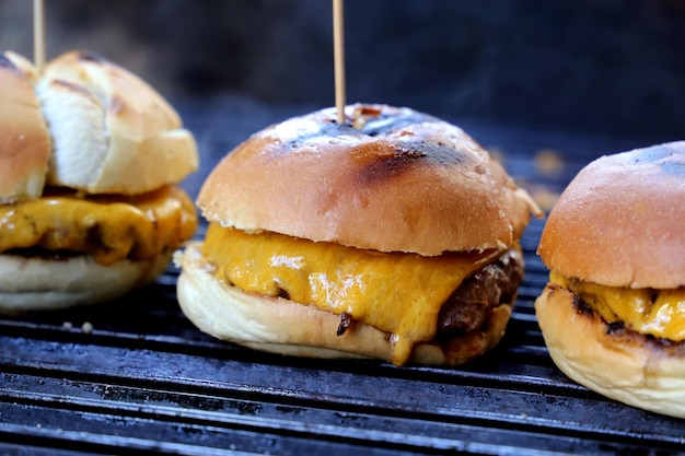 Hamburger di formaggio pomodoro e pane fatti in griglia per barbecue Vista laterale Primo piano