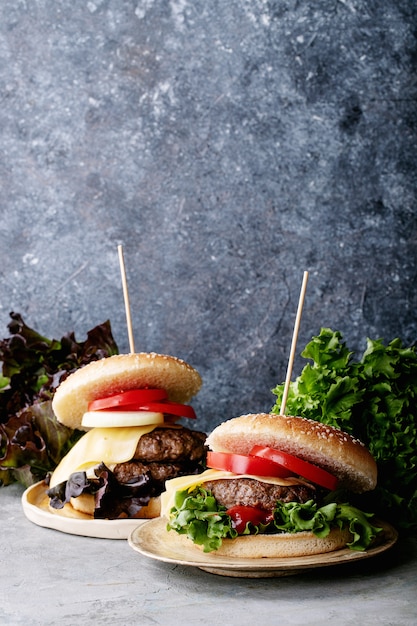 Hamburger fatti in casa con verdure fresche