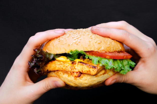 Hamburger vegetariano Il concetto di cibo sano