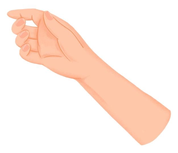 Hand png holding gesture sticker sfondo trasparente