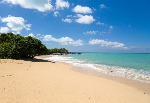 Happy Bay al largo di St Martin Caribbean