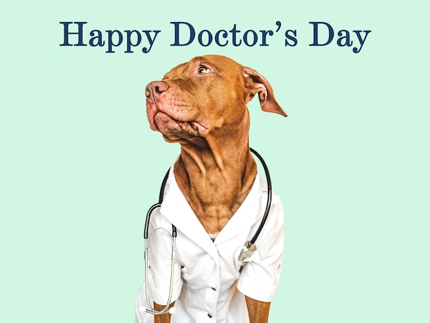 Happy Doctor's day Primo piano grazioso adorabile del cucciolo