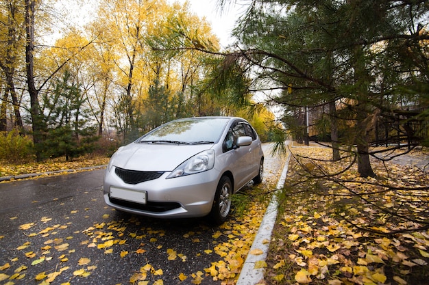 Hatchback giapponese sulla strada autunnale in una giornata piovosa