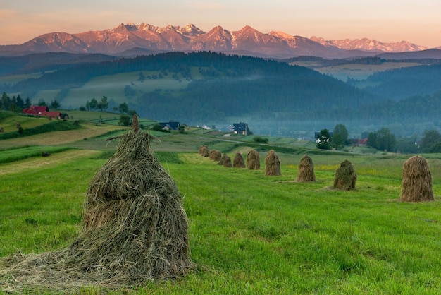 Haystack in Meadow in Pieniny Park Polonia all'alba