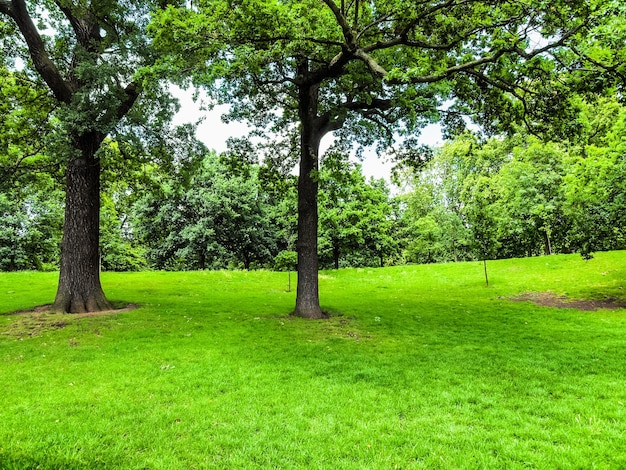 HDR Giardini di Kensington Londra