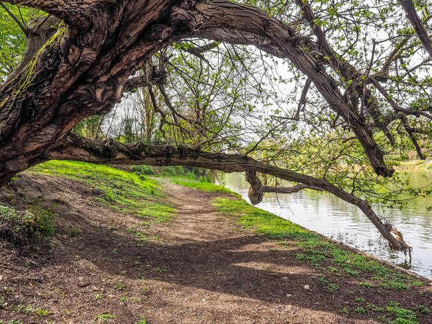 HDR River Po a Torino