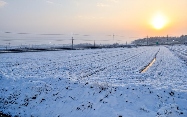 Heavey nevicata durante la stagione invernale a Gwangju, Corea del Sud.