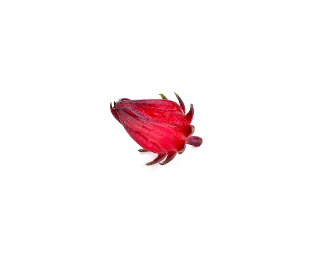 Hibiscus sabdariffa o frutti di roselle