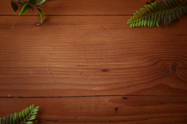 Photo high angle view of potted plant against wood background