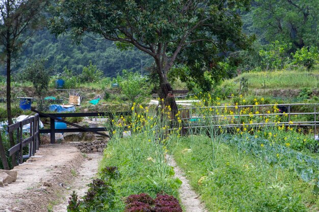 Holiday Urban Farmer Farmer Orto Aratura Raccolta Verdure