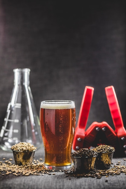 Homebrew Honey Brown Beer Orzo diverso e attrezzature per la produzione di birra