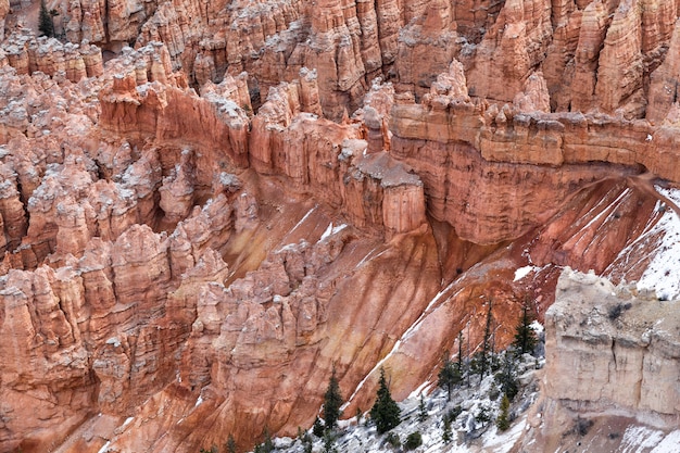 Hoodoo di formazioni di pietra nel parco nazionale di Bryce Canyon