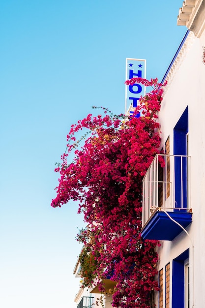 Hotel e fiori